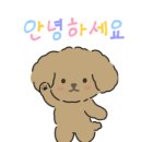 르셀크리닉의원 이미지