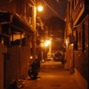 보보나인