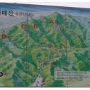 제331차(2014.6.21)충북 영동 천태산 산행 안내 이미지