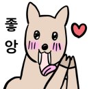 트렌디우먼휘트니스 굽은다리역점 이미지