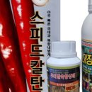 한국농약씨앗 이미지