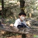 대림어린이집 이미지