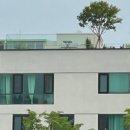 그린룸스튜디오