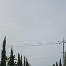 남해-310 이미지