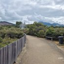 하얀울공원 | 🌋 뉴질랜드 북섬 로토루아 여행:와이오타푸 지열공원 가족여행 후기 (feat. 입장료, 팁)