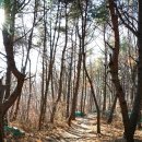 매암산 등산로 이미지