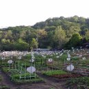 준이농장 이미지