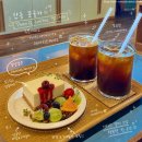 선샤인 선인장 | [국내여행] 안동 카페 땡큐커피 후기｜안동 시내 분위기 좋은 카페, 디저트 맛집