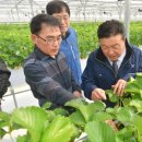 김종래농장 이미지