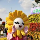 실오라기 협동조합 이미지