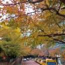 보미플라자 이미지