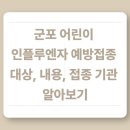 한양수리아파트 상가동 (한양프라자) | 군포 어린이 인플루엔자 예방접종 대상, 내용, 접종 기관 알아보기