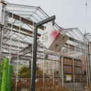 달성토성마을 이미지