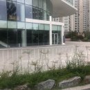 2017 제27회 전국 민족극 한마당 | 대전 공연_대전 예술가의 집에서 마당극 쪽빛황혼 보고 왔어요!