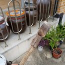 푸른소아과의원 이미지