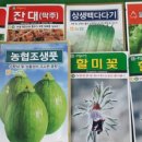 일차로 이미지