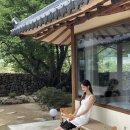 스테이모네 이미지