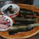 칭구장어 이미지