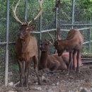 우치농장 이미지