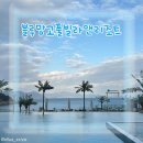 (주)블루망고풀빌라앤리조트 이미지