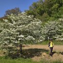 경기둘레길 평택45코스 이미지