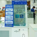 다비치안경점 건너편 이미지