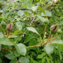 까페오월 이미지