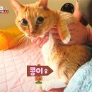 기봉이 농장 네이버블로그