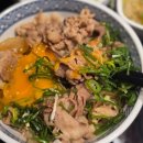 중앙가(家) | 하카타역 규동 전문점 요시노야에서 혼밥 한끼한 후기