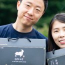 흑색건강 염소농장 이미지