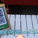 시나이글로벌 이미지