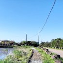 남생이못 습지생태 관찰원 이미지