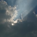 금메달 체육관 이미지