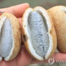카페생각 이미지