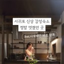 아노록사계 이미지