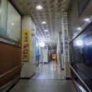 복실이 PC 이미지