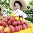 플럼호텔 이미지