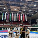 용인대 엘리트 태권도 이미지