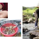 한울타리 농촌체험마을 이미지