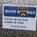 고용노동부 앞 | 👩‍💼2025 고용노동부 청년인턴 합격 후기(1), 서류전형 합격 후기, 자기소개서 작성 준비, 자소서 작성 팁 📝