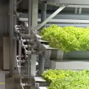 연암농장3 이미지