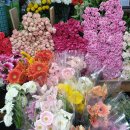 일흥꽃집 이미지