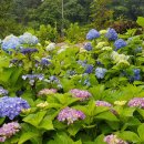 농부의 정원 이미지