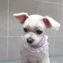 은마로동물병원 이미지