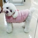 세인트존스 동물병원 이미지