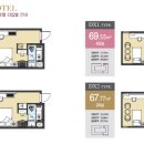 골든버터플라이 이미지