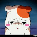 꽃돼지국밥 네이버블로그