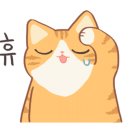 라라건강체험샵 이미지