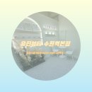 유진뷰티라인 | [수원/고등] 매교역 무료주차 가능한 수원왁싱 '유진뷰티' (왁싱샵 오픈 이벤트♡)