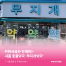 무지개약국 이미지